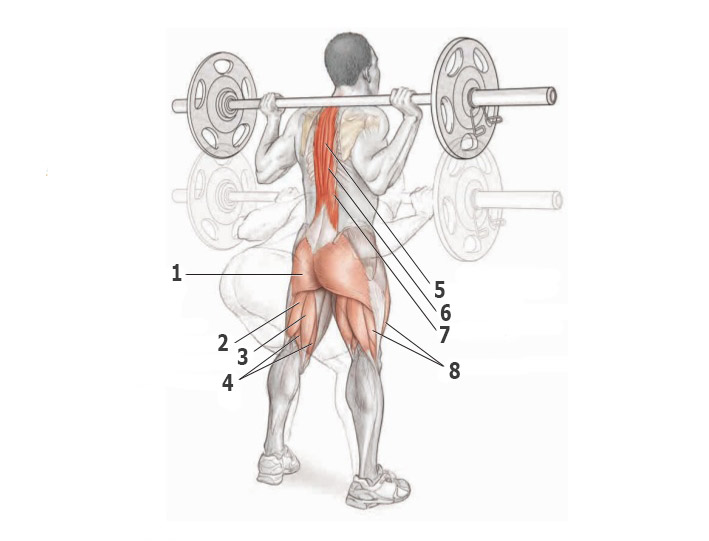 Какие упражнения на мышц спины thumbnail