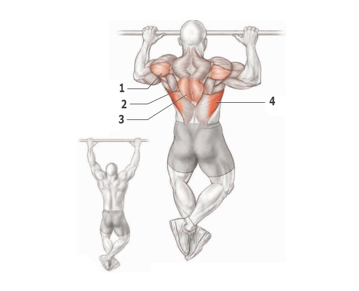Физические упражнения на верхние мышцы спины thumbnail