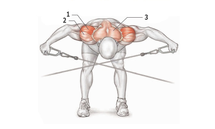 Тренировка дельтовидных мышц плеч thumbnail