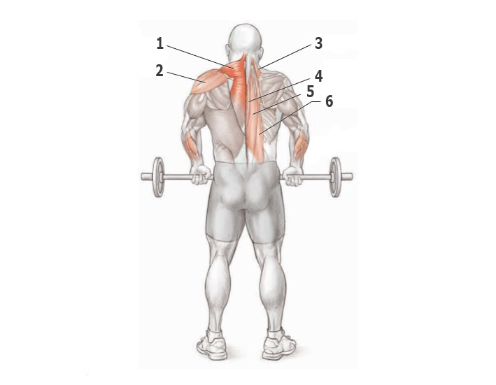 Как правильно делать упражнение на мышцы спины thumbnail
