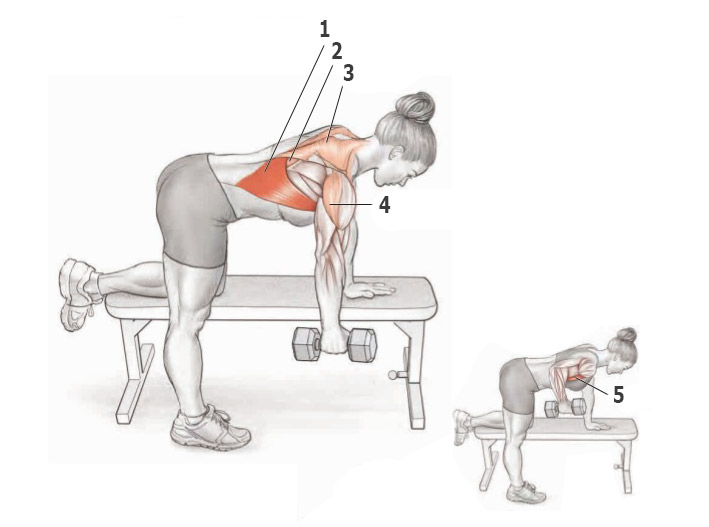 Гимнастические упражнения для широчайших мышц спины thumbnail