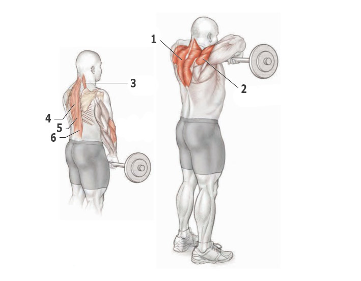 Простые упражнения для развития мышц спины thumbnail