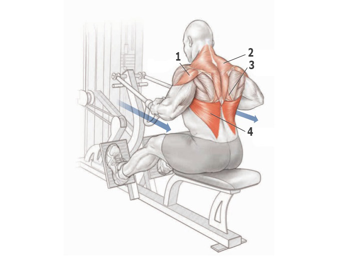 Тренировка для широчайшей мышцы спины thumbnail
