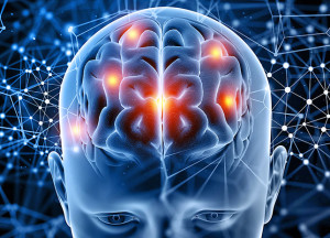 Польза высокоинтенсивных тренировок для здоровья мозга