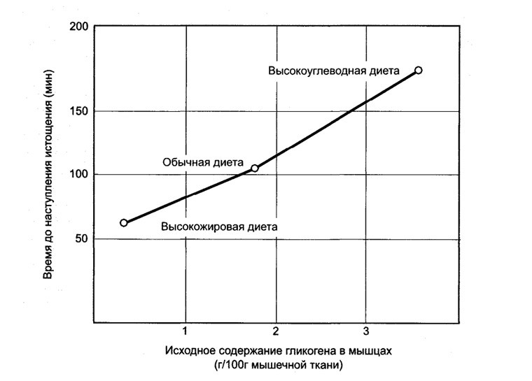 Влияние различных диет на время истощения гликогеновых запасов у спортсменов на выносливость
