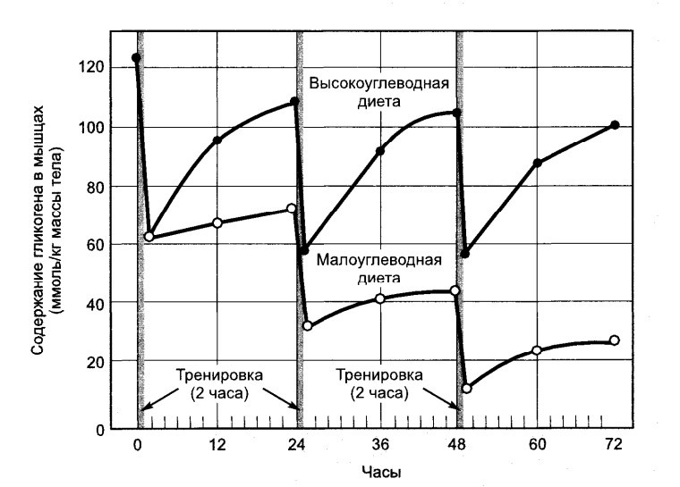 Диета с высоким содержанием углеводов