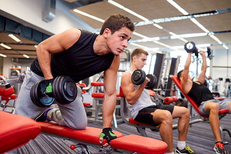 gantelisport f662b986205bea4f47f134b2a0b1447d для чего нужны гантели