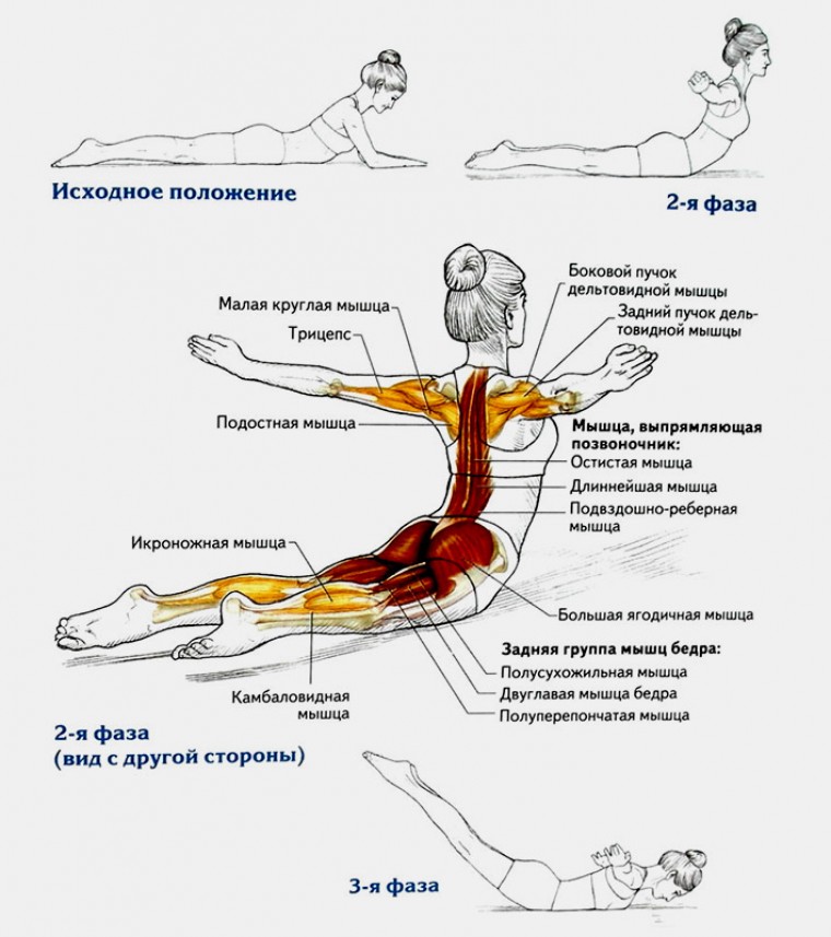Техника выполнения упражнения