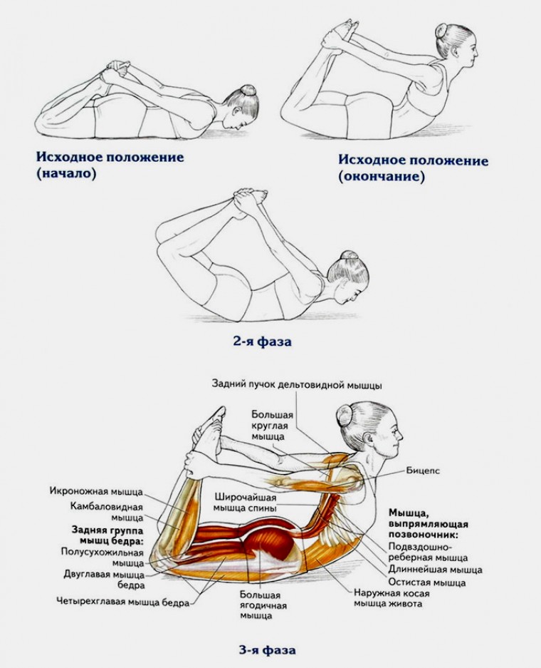 Техника выполнения упражнения