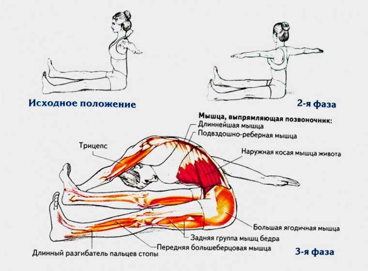 Техника выполнения упражнения