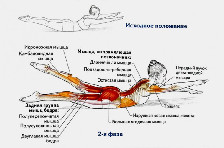 Упражнение «Плавание»