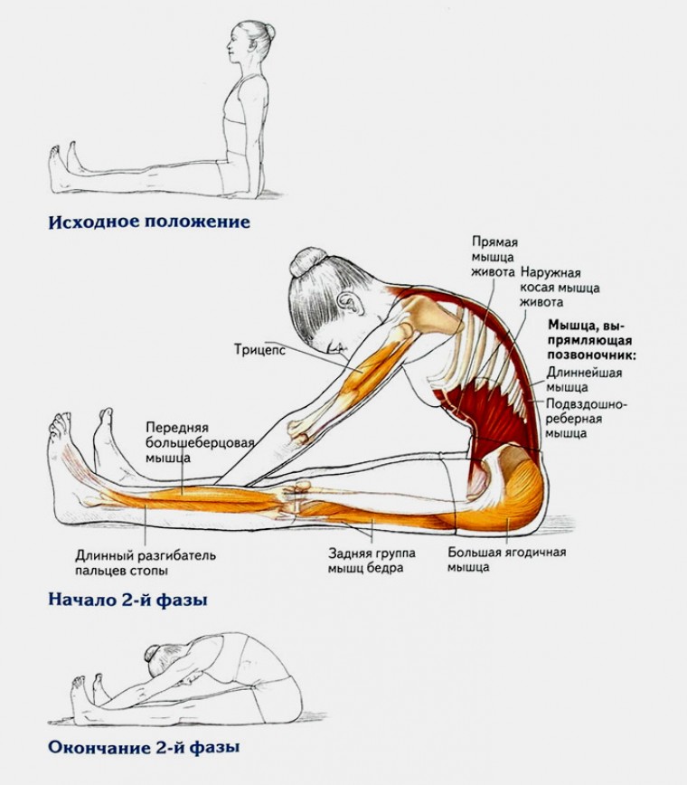 Техника выполнения упражнения