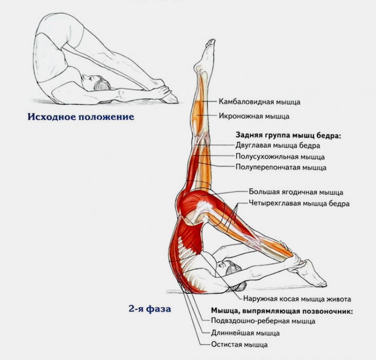 Техника выполнения упражнения