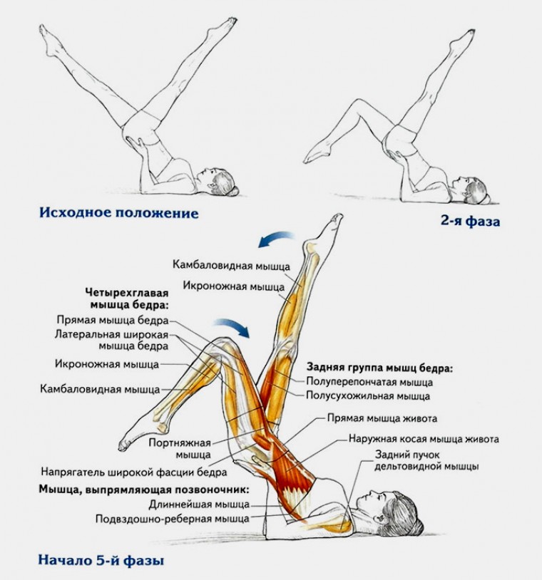 Техника выполнения упражнения