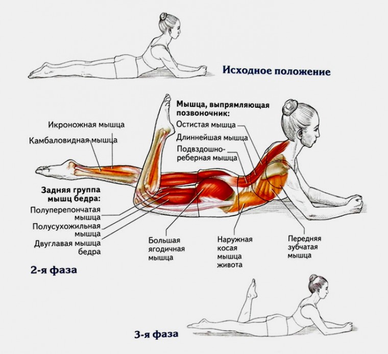 Техника выполнения упражнения